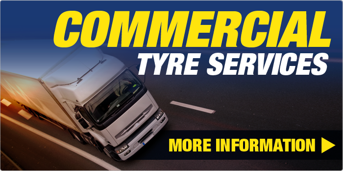 Tanvic Truck Tyres